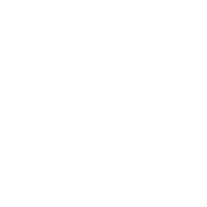 The Fingy